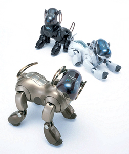 aibo